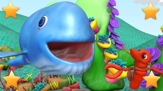 Big Blue Whale | Kindergarten Nursery Rhymes & Songs for Kids