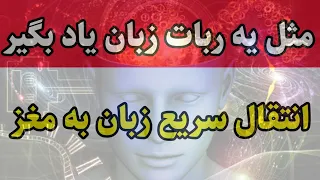 انتقال زبان انگلیسی به مغز