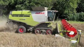 Rapsernte 2020, Claas lexion 760 bei der Arbeit.