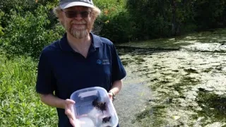 Freshwater Turtles with David Seburn