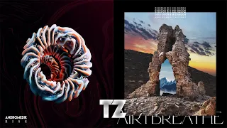 Rise VS Air I Breathe - Andromedik VS Sub Focus & Wilkinson [TZ Mashup]