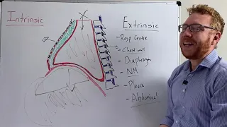 Restrictive Pulmonary Disease | Causes and Spirometry