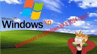 Выживание на Windows XP В 2024 году