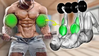 7 Activate Exercises to Get Giant Biceps Size