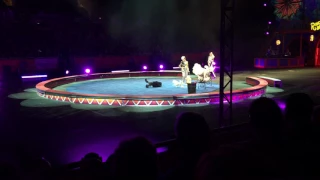 Barnum and Bailey circus Xtreme- Dogs