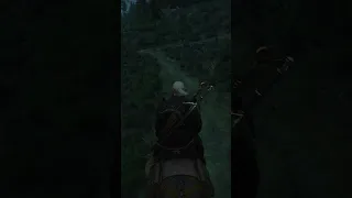 The Only Reason I Visit Skellige In Witcher 3