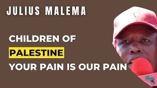 To The Children Of Palestine, Your Pain Is Our Pain | Julius Malema
