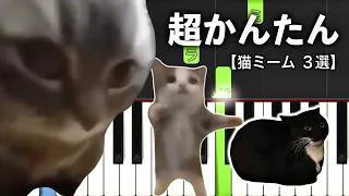 大人気！猫ミーム ３選【ピアノ簡単】