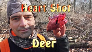 Heart Shot Doe with Rage Broadhead