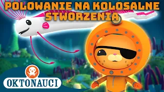 Oktonauci - 🦑 Polowanie na kolosalne stworzenia 🔍 | Kompilacja | Całe odcinki