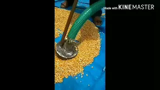 Grain vacuum system