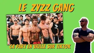 Les Zyzz version wish qui polluent les reseaux   (dénigrement des débutants, esprit négatif…)