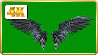 Black Angel wings in Green screen Loops HD