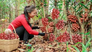 Harvesting Salak - go to market sell | 2 Years Alone In The Forest | Vietnamese Harrvesting