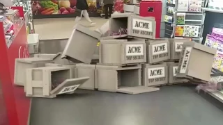 ACME Top Secret Robot Spiders