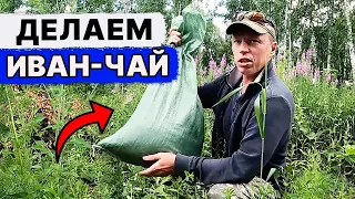 КАК Сделать ИВАН-ЧАЙ. Уже МНОГО ЛЕТ делаю ТОЛЬКО ТАК!