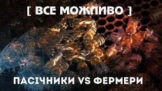 Мільйони загиблих бджіл по цілій Україні: як вберегти комах