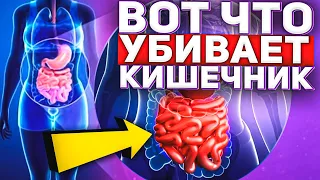 ✅Мы Сами ГРОБИМ НАШ КИШЕЧНИК ❗❗ 12 ПРИВЫЧЕК о Которых НУЖНО ЗАБЫТЬ ❗❗ ЗДОРОВЫЙ ОБРАЗ ЖИЗНИ