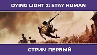 НАЧАЛО | Dying Light 2: Stay Human #1 (03.02.2022)