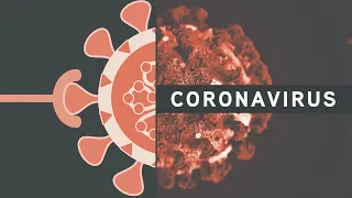 Studying Coronaviruses: Vectors to Vaccines