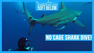 No Cage Shark Diving South Africa! | HD