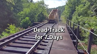 7 Days of Dead Track and a Huge Amount of Work Got Done