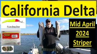 Still at it!!! San Joaquin River - California Delta - Striper Fishing