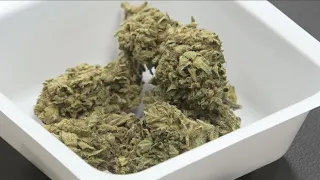 First hand look at a cannabis testing lab in WNY