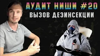 Аудит ниши #20 | Вызов дезинсекции | Разбор: Лендингов. Сайтов. Яндес Директ.