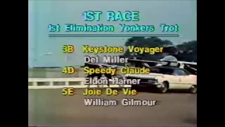 1983 Yonkers Raceway SHERWOOD LOBELL Yonkers Trot Elimination Berndt Lindstedt