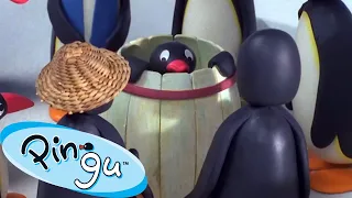 Pingu Enjoys Art 🐧 | Pingu - Official Channel | Cartoons For Kids