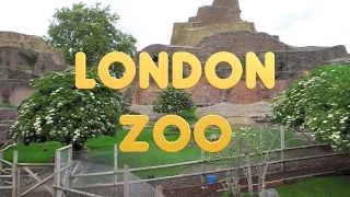 London 28 - ZSL London Zoo