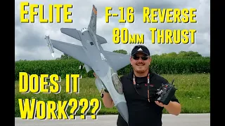 Horizon Hobby - F-16 Falcon - 80mm - Thrust Reverse Mod + Pilot Fatigue Setting!