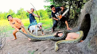 Smart Pitbull and Brave Hunter Confront Ferocious Giant Snake To Save Boy Living In Cave