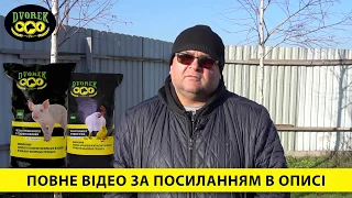 Як Отримати Смачне М'ясо Свиней