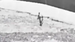 Bigfoot sighting Traffic CCTV of mysterious creature walking