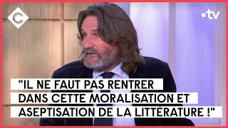 Frédéric Beigbeder et Riopy - C à vous - 13/04/2023