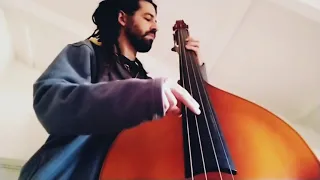 Charles Mingus - Haitian Fight Song (Opening Solo) - Bass Cover - Assaf Wolf