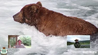 Live Chat: Brown Bear Fishing Styles with Ranger Naomi and Mike Fitz