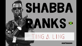 Shabba Ranks - Ting A Ling (Dancehall Lyrics provided by Cariboake The Official Karaoke Event)