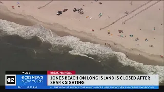 Jones Beach closed after possible shark sighting