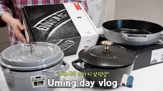 [vlog] 주부  집순이 브이로그🥘 | 내돈내산 스타우브 언박싱 | 스타우브 꼬꼬떼,아시아볼 | 솥밥 레시피👩‍🍳 | 살림꿀템 구입하고 | 집밥 먹은 일상