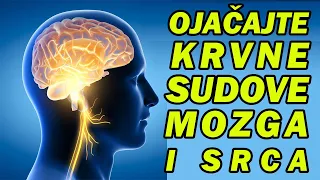 SAVRŠENA HRANA ZA MOZAK, PAMĆENJE, KONCENTRACIJU I RASPOLOŽENJE! Dr Mihajlović