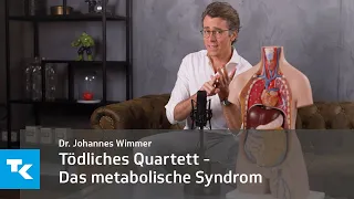 Das metabolische Syndrom I Dr. Johannes Wimmer