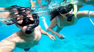 OUR FIRST TIME IN HAWAII! | SWIMMING WITH SEA TURTLES IN MAUI!