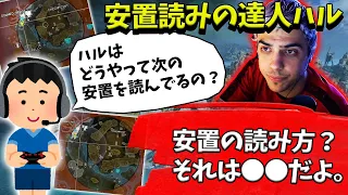 安置読みの達人ハル！安置の読み方を視聴者に伝授【Apex】【日本語字幕】