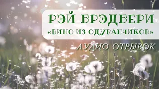 Рэй Брэдбери "Вино из одуванчиков" аудио озвучка (отрывок)