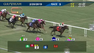 Gulfstream Park February 20, 2019 Race 3