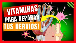 😱7 INCREÍBLES VITAMINAS Para Reparar Daños en LOS NERVIOS