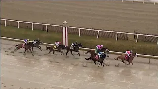 LAUREL PARK 03 02 2024 RACE 2